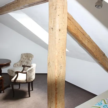 Villa Vila Fontana S Krytym Bazenem Planá nad Lužnicí